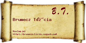 Brumecz Tícia névjegykártya